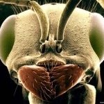 Profile Picture of Thomas Wilker (@thomas_wilker) on Instagram