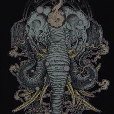 Profile Picture of Sheil Patel (@elephantsmokes) on Twitter