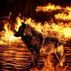 Profile Picture of Tyler Crow (@night-of-the-wolf) on Myspace