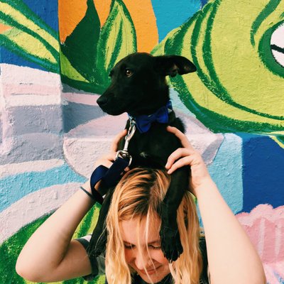 Profile Picture of Paige Shirley (@paigeshirley0) on Twitter