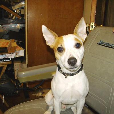 Profile Picture of Vicki Vaughn (@vilyva) on Twitter