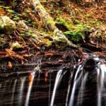 Profile Picture of Peter_Lancaster (@peter_lancasterc) on Instagram