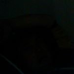 Profile Picture of Brendan Sharpe (@sharpest1988) on Instagram