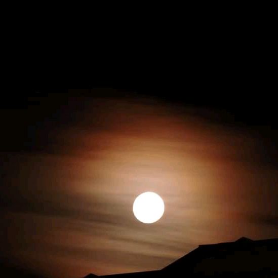 Profile Picture of Bianca Bailone (@bianca_6350) on Tiktok