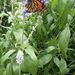 Profile Picture of Cassandra Mikelson (@color246) on Pinterest