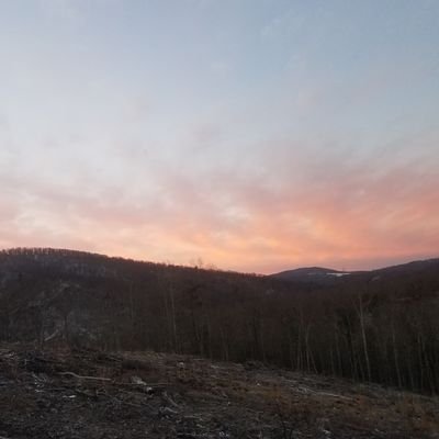 Profile Picture of Casey Cash (little_wolf) (@CaseyCa34354348) on Twitter