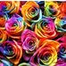Profile Picture of Lisa Depp (@lisa.depp.37) on Facebook