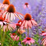 Profile Picture of Poxten Joshua (@Poxten-Joshua) on Facebook