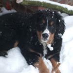 Profile Picture of Barbara Biel (@barbara.biel.3) on Instagram
