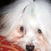 Profile Picture of Bruce Batchelor (@bruce.batchelor.75) on Facebook