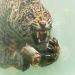 Profile Picture of  (@michn.ick) on Instagram