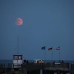 Gordon P. Timmermann - Instagram Profile Picture of Gordon P. Timmermann (@gordon.p.timmermann) on Instagram