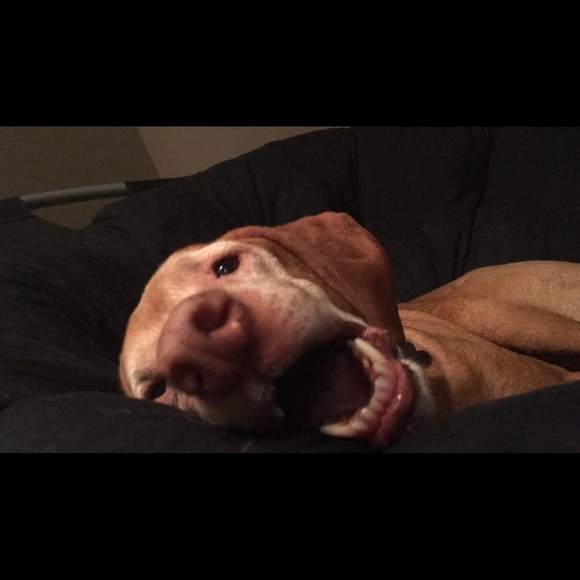 Profile Picture of Graham Gnagy (@grgnagy) on Poshmark