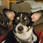 Profile Picture of Stephen Handwerk (@stephen.handwerk.3) on Facebook