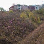 Profile Picture of Hansen (@hansenviola22km) on Instagram