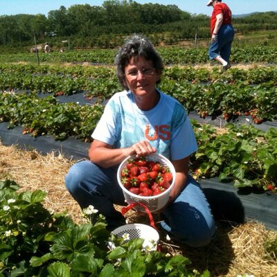 Profile Picture of Cindy Lippy (@Clmclane1) on Twitter