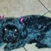 Profile Picture of Renel Gibbs (@nelleeraw) on Pinterest