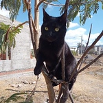 Profile Picture of Silvia  López (@lopez.sil2021) on Flickr