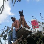 Profile Picture of Carlos Eduardo Graciutti Bandeira (@cegbandeira_88) on Instagram