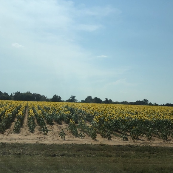 Profile Picture of Mackenzie Shattles (@kenzieshattles) on Poshmark