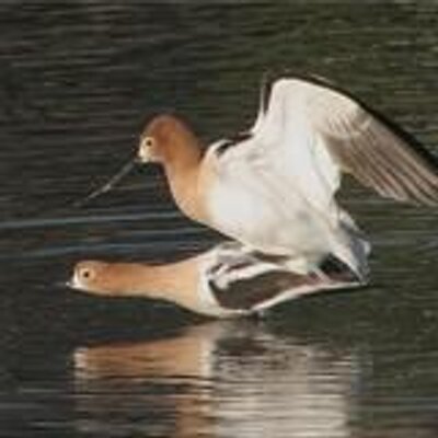 Eleni Uschmann - Twitter Profile Picture of Eleni Uschmann (@EU_85) on Twitter