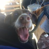 Profile Picture of Judy Kilgore (@judy-kilgore-8) on Quora