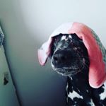 Profile Picture of Helmut Müller (@habibi_bloxberg) on Instagram