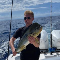 Profile Picture of Daniel Krin (@daniel.krin) on Tiktok