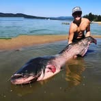 Profile Picture of Marek Konečný (@Marek-Konečný) on Facebook