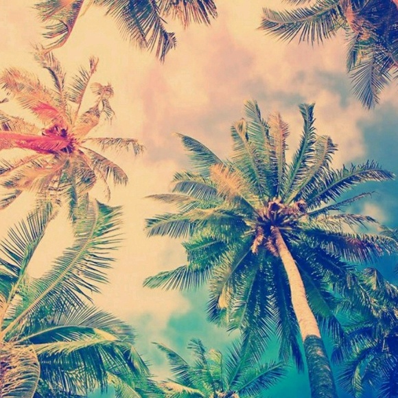 Profile Picture of Bridgett Schrecker (@foxxtrixx) on Poshmark