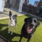 Profile Picture of Carolyn Stewart (@Carolyn-Stewart) on Facebook