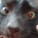 Profile Picture of Robert Goralski (@robert.goralski.31) on Facebook