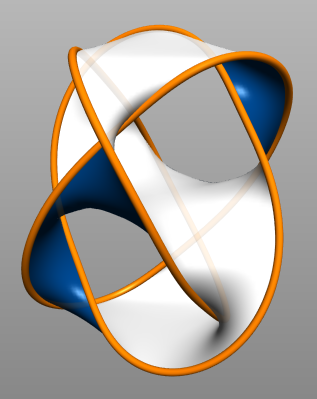 Profile Picture of Seifert surfaceon Wikipedia