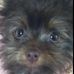 Profile Picture of Maureen Kirkpatrick Mcdougall (@maureen.k.mcdougall) on Facebook