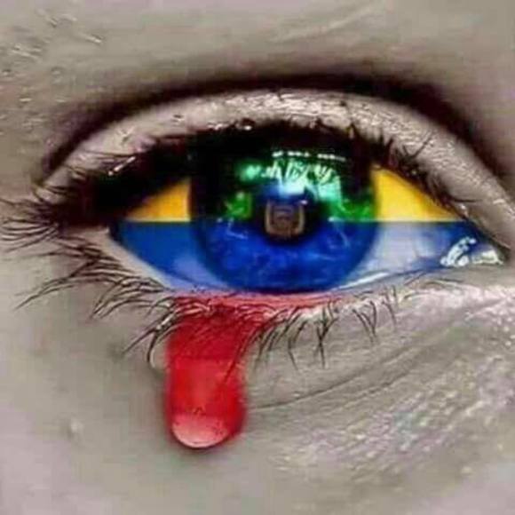 Profile Picture of Alba James (@amjames515) on Poshmark