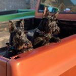 Profile Picture of Aaron Boese (@aaboese) on Instagram