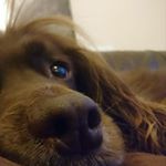 Profile Picture of cathy.davidson1 (@cathy.davidson1) on Instagram