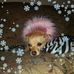 Profile Picture of Laurell Harris (@laurell.harris.18) on Facebook