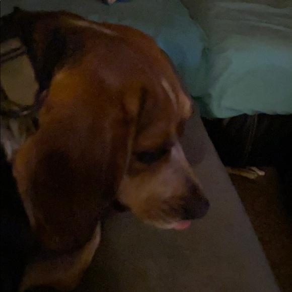 Michael Orosz - Poshmark Profile Picture of Michael Orosz (@skokie7344102) on Poshmark