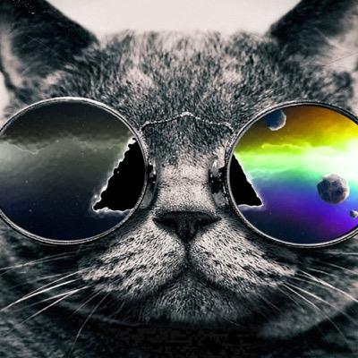 Erik Hallberg - Twitter Profile Picture of Erik Hallberg (@ErikHallberg3) on Twitter