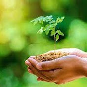 Profile Picture of Dana Schaefer (@danaschaefer9355) on Youtube