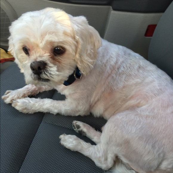 Profile Picture of Sandra Aspras (@sandraaspras00) on Poshmark