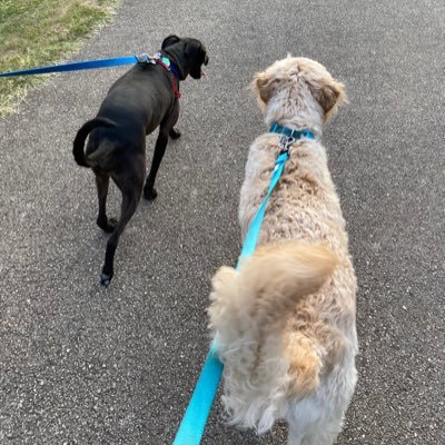 Profile Picture of Leo-and-yadi (@leoandyadi) on Twitter