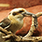 Profile Picture of Phillip J Smith (@phillip j smith) on Flickr