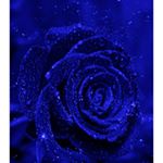 Profile Picture of Cierra McDaniel (@puretreasure007) on Instagram