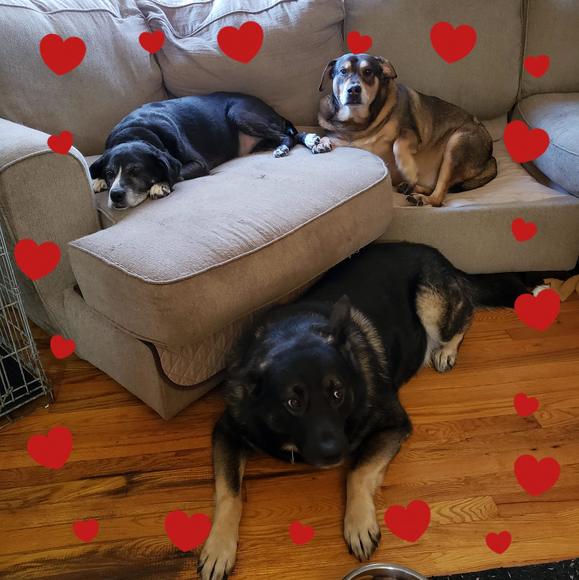 Profile Picture of Christina Gubinski stefanelli (@cmstefanelli) on Poshmark