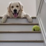 Profile Picture of Joseph Novello (@josephnovello) on Instagram