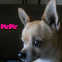 Profile Picture of Lee Huffman (@lee-huffman-17) on Quora