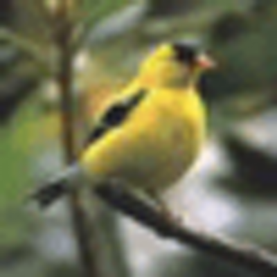 Profile Picture of Kyle Benitez (@g1fno) on Twitter