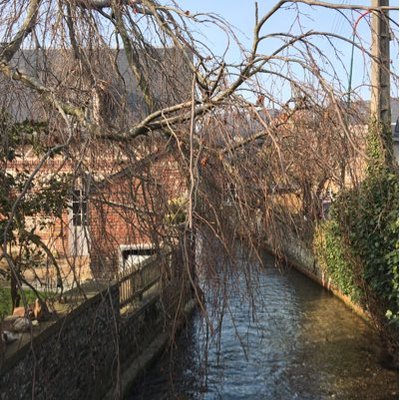 Profile Picture of Bredow David (@mabreddaveva) on Twitter